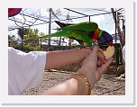 At the Zoo (20) * 1024 x 768 * (158KB)
